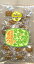 鈴木養蜂場　ハニーキャンディー100g入り　5袋青空と太陽と花々の中で採れた鈴木養蜂場印はちみつ