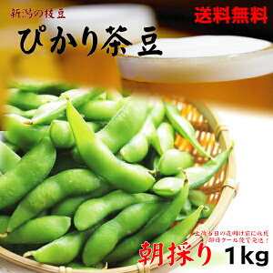 【予約商品】【送料無料】産地直送!ぴかり茶豆1kgおいしい茹で方レシピ付きお届け8月28日〜(予定)