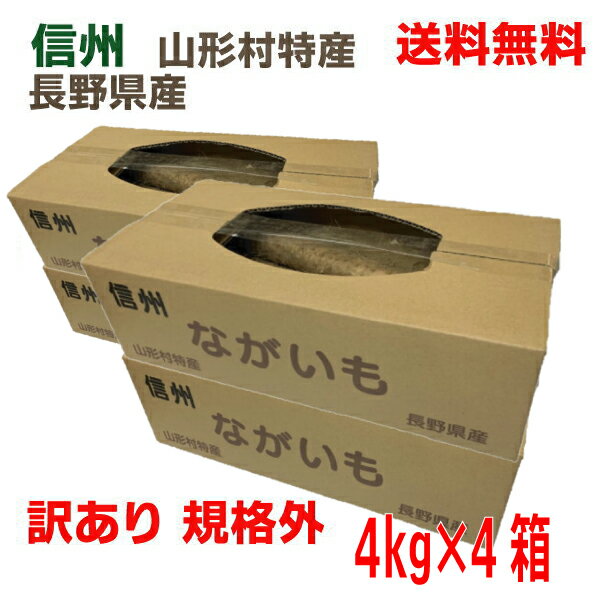 【2025.12月上旬発送　第2回予約商品】【4ケース本州送料無料】信州山形村特産　中川さんちのながいも..