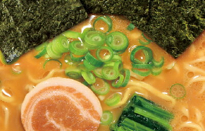 いいもん 楽天市場店 【本州のみ送料無料】ニュータッチ凄麺 横浜とんこつ家117g×12個北海道・四国・九州行きは追加送料220円かかります。2ケースまで同梱可能です。 画像2