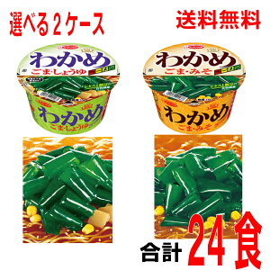 【本州送料無料】選べる2ケース合計24個　NEW わかめラーメン　レギュラーサイズごま・しょうゆ　93g×12個ごま・みそ　78g×12個（完売）北海道 四国 九州は送料220円かかります。エースコック