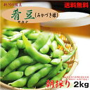 【予約商品】【送料無料】産地直送!肴豆(サカナ)(みかづき姫)2kgおいしい茹で方レシピ付きお届け9月26日~(予定)枝豆えだまめ