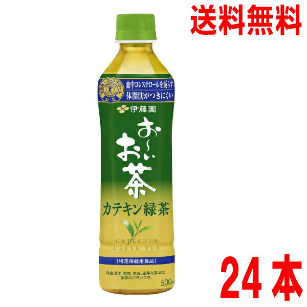 【本州送料無料】伊藤園　お～いお茶 カテキン緑茶 PET 500mlペットボトル　24本入り北海道・四国・九..