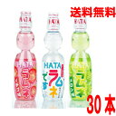 【期間限定】【選べる1ケース30本入り】【本州送料無料】ハタ鉱泉 ハタPETラムネですよ ハタペットラムネ メロン味 イチゴ味250ml×30本 北海道・四国・九州行きは追加送料220円かかります。廃棄が簡単 ペットボトルラムネ