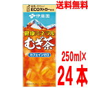 【期間限定】【1ケース本州送料無料】伊藤園 健康ミネラルむぎ茶(紙パック)250ml 1ケース(24本入)麦茶 北海道・四国・九州行きは追加送料220円かかり...