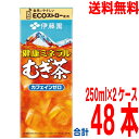 【期間限定】【2ケース本州送料無料】伊藤園 健康ミネラルむぎ茶(紙パック)250ml ×2ケース 合計48本麦茶 北海道・四国・九州行きは追加送料220円かか...