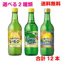 6本ずつお好きなものをお選びください。 お酒にプラス レモン（540ml） お好きなハードリカー（焼酎、ウォッカ、ジンなど）にプラスするだけで、果汁感のある本格的なおいしさが手軽に味わえる、保存料無添加の100％レモン果汁です。 お酒に加え...