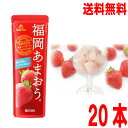 【2025年シーズン出荷】【本州送料無料】ゴールドパック NIPPONフルーツバー 福岡あまおう 80gパウチ 20入りいちご凍らせてシャーベットとして北海道・...