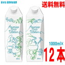 【本州送料無料】Azumino Mineral Water 1L×12本（6本入り×2ケース） ゴールドパック1000ml入り紙パック 安曇野ミネラルウォーター信州安曇野の水北海道 四国 九州行きは追加送料220円