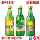 2本ずつお好きなものを3種お選びください。 お酒にプラス レモン（540ml） お好きなハードリカー（焼酎、ウォッカ、ジンなど）にプラスするだけで、果汁感のある本格的なおいしさが手軽に味わえる、保存料無添加の100％レモン果汁です。 お酒に加えて最適なおいしさに仕上がるよう、マイルドな酸味のレモン果汁を使用しています。 原材料　レモン、香料 お酒にプラス ライム（540ml） お好きなハードリカーにプラスするだけで、果実感のある本格的なおいしさが手軽に味わえます。 保存料無添加・ライム果汁80％入り。お酒に加えて最適なおいしさに仕上がるよう、ほんのりとした甘みを加えております。 原材料 ライム（イタリア）、砂糖／着色料（紅花黄、クチナシ）、香料 お酒にプラス グレープフルーツ（540ml） お好きなハードリカーにプラスして、濃厚なコクとフルーティな味わいが楽しめる濃縮グレープフルーツ果汁です。ピンクグレープフルーツ果汁をブレンドすることでほどよい酸味とまろやかな味わいを実現しました。 原材料 グレープフルーツ（イスラエル、アメリカ）／酸味料、保存料（安息香酸Na、パラオキシ安息香酸）、香料 容量／容器形態 540ml／EG瓶　