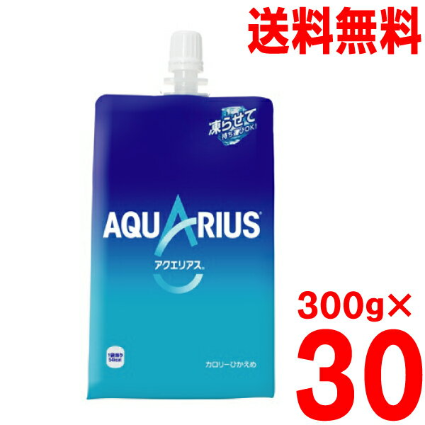 【本州送料無料】アクエリアス 300gハンディーパック 30個入り 1ケース日本コカ コーラ株式会社北海道 四国 九州宛は送料220円かかります。