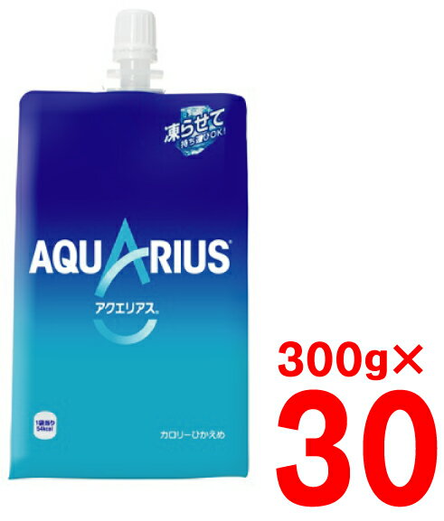 アクエリアス　300gハンディーパック　30個入り　日本コカ・コーラ株式会社