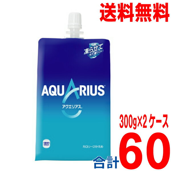 【2ケース本州送料無料】アクエリアス 300g×2ケース 合計60本 ハンディーパック 30個入り×2ケース 日本コカ コーラ株式会社北海道 四国 九州宛は送料220円かかります。