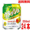 【期間限定】【1ケース本州送料無料】チョーヤ梅酒 ウメッシュ3%本格梅酒ソーダ 250ml×24本 北海道・四国・九州行きは追加送料220円かかります。
