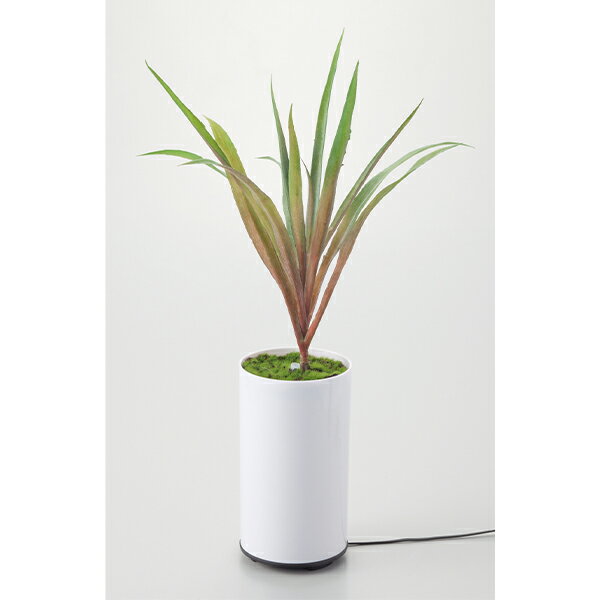 【返品OK!条件付】イシグロ グリーンディフューザー A 観葉植物型アロマ噴霧器 アロマディフューザー I-70090 加湿【KK9N0D18P】【60サイズ】