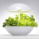 【返品OK!条件付】MotoM モトム LED水耕栽培器 灯菜 アカリーナ Akarina01RN OMA01RN2 白 オリンピア照明 LED植物栽培器 リビ...