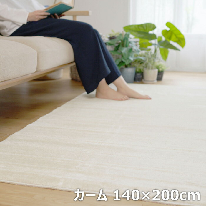 ������OK!����ա�BIG SIZE RUG �����ڥå� ���ߥΥ� �饰 �ɱ� �ɥ��� ������ 140��200cm 13440306-140200-1 �����ܥ꡼ �饰�ޥå� �ʥ�����饰 �ɲ� ���ߤ� ���ȥۥåȥ����ڥå��б���KK9N0D18P��