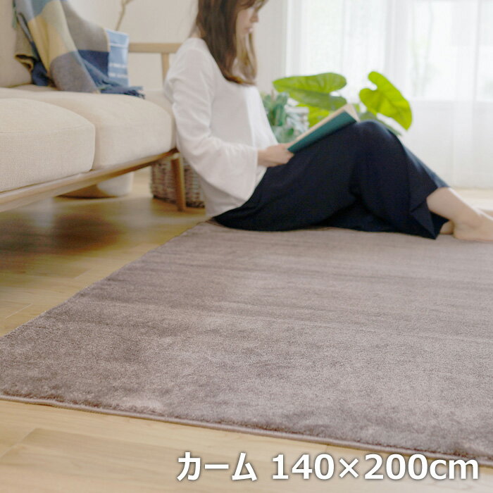������OK!����ա�BIG SIZE RUG �����ڥå� ���ߥΥ� �饰 �ɱ� �ɥ��� ������ 140��200cm 13440306-140200-67 �⡼�� �饰�ޥå� �ʥ�����饰 �ɲ� ���ߤ� ���ȥۥåȥ����ڥå��б���KK9N0D18P��