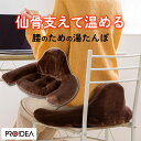 【返品OK!条件付】プロイデア 湯たんぽ一体型クッション あったか腰サポ湯たんぽ ブラウン D-0070-4203-00 PROIDEA ドリーム 腰のケア 仙...