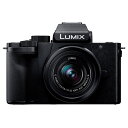 【返品OK!条件付】パナソニック ミラーレス一眼カメラ ルミックス LUMIX G100D レンズキット DC-G100DK ブラック Panasonic デジタル一眼カメラ デジタル一眼カメラ ズームレンズ付き マイクロフォーサーズマウント DC-G100DK-K【KK9N0D18P】(2)