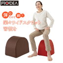 【返品OK!条件付】ドリーム プロイデア エクササイズクッション ワイドスクワットホッパー D-0070-4139-00 ブラウン 運動クッション エクササイズ お腹 お尻 太もも 背中 スクワット運動 筋肉 ストレッチ ミニスツール【KK9N0D18P】