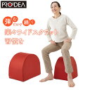 【返品OK!条件付】ドリーム プロイデア エクササイズクッション ワイドスクワットホッパー D-0070-4139-02 ベイクドレッド 運動クッション エクササイズ お腹 お尻 太もも 背中 スクワット運動 筋肉 ストレッチ ミニスツール【KK9N0D18P】