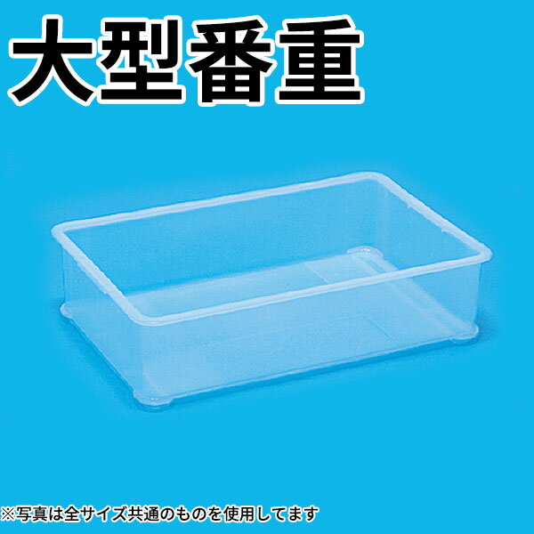 PP 大型番重 透明 B_プラスチック 番重 大型 _AC6463