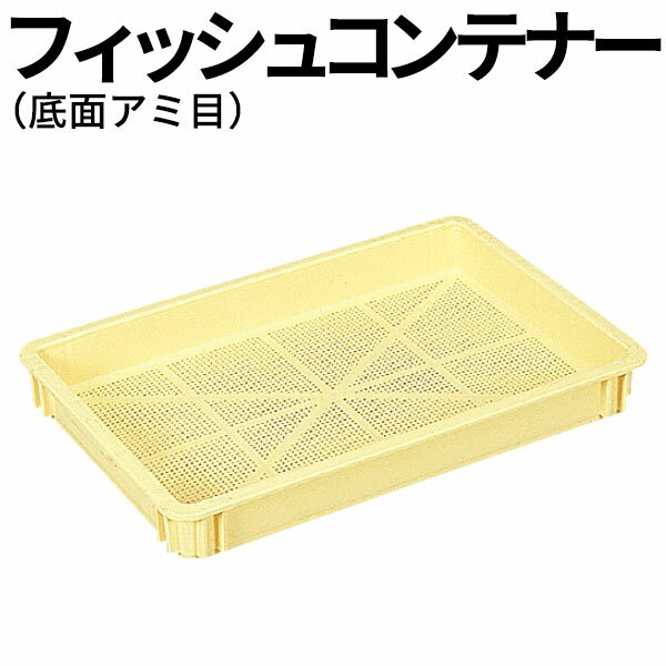 フィッシュコンテナーB クリーム_底面アミ目 網目コンテナ _AC6494