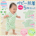 綿100% ベビー肌着 5点セット 50-60cm 肌着セット コンビ肌着 短肌着 下着 綿100% コットン フライス ニット ガーゼ ボーダー 赤ちゃん 吸水 発散 【ラッピング対応】 エムール