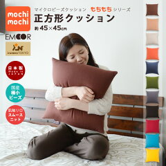 https://thumbnail.image.rakuten.co.jp/@0_mall/emoor/cabinet/cushion/fx-mochi-45-01mc.jpg