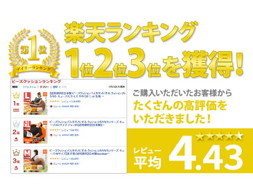 ビーズクッション「人をダメにする もちもち クッション」もちもちシリーズ キューブ/Mサイズ ジャンボ【送料無料】日本製mochimochi マイクロビーズクッション ビーズソファ ソファー マカロン ラッピング プレゼント ギフト 国産 洗える エムール