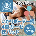 【4h限定ポイント10倍★18日20時〜】 いかりボーダー柄...