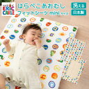 フィットシーツ シーツ ベビー ミニ 50×90cm はらぺこあおむし 日本製 カバー 保育園 幼稚園 洗える フィッティパックシーツ パックシーツ 敷きふとん...