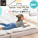 ファミリーマットレス 専用 極厚 敷きパッド 300cm 日本製 抗菌 防臭 防ダニ 洗える 丸洗い 洗濯機 吸湿 ゴムバンド ズレない マットレスカバー 敷きカバー ベッドカバー 簡単 着脱 寝汗 おねしょ おもらし 洗い替え 家族 子供 来客用 プレイマット 送料無料 エムール