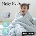 【本日18時〜6H全品P5倍】【在庫処分】掛け布団 肌掛け布団 ケット ハーフ 消臭 吸湿 速乾 レーヨン 洗える 丸洗い ウォッシャブル 春 夏 秋 オールシ...
