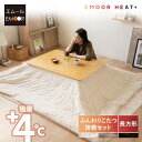 【本日18時~6H全品P5倍】こたつ布団 掛敷セット 長方形 洗える 吸湿発熱 極暖 あったか 暖かい 冬用 防寒対策 寒さ対策 ボリューム こたつ 掛け 敷き...