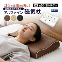 安眠枕（売れ筋ランキング） 磁気枕 アルファイン 防ダニ カバー付き 日本製 医療用具許可商品 永久磁石 血行促進 肩こり 首こり 低反発 洗える 吸湿 速乾 磁気まくら 健康枕 快眠枕 安眠枕 低反発枕 磁気 快眠 安眠 枕 まくら マクラ ピロー 無地 北欧 おしゃれ 新生活 ギフト 送料無料 エムール