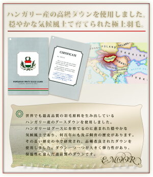 【ロイヤルゴールドラベル】エムールカラーホワイトグースダウン90%羽毛布団/シングル国内洗浄/抗菌防臭加工/日本製/専用収納ケース付き(うもうふとんウモウフトン羽毛ふとん)【送料無料】【smtb-f】【SMTB】【レビューで消費税分OFF】