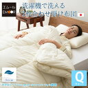 掛け布団 肌掛け布団 クイーン 日本製 国産 洗える 2枚合わせ ダクロン(R) 綿100% ポリエステル100% 防ダニ あったか 暖か アレルギー 対策 抗...