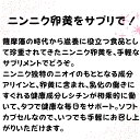 DHC ニンニク＋卵黄 30日分 1個 サプリメント 送料無料　スタミナ　パワフル　健康サポート　冷え性　疲れが取れない 3