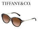 ティファニー サングラス Tiffany & Co.(0TF4210D-80153B)サイズ54【ティファニー正規品】(4)