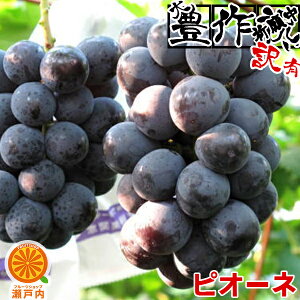 安心クール便♪愛媛産 ピオーネ 訳あり 約1.2kg(目安1〜3房) ご家庭用【送料無料(一部地域除く)】不選別・不揃い 愛媛県産他 フルーツ 葡萄 果物 くだもの 果実 青果 食品ロス ぶどう ブドウ おやつ デザート 夏の味覚 コロナ ステイホーム おうち時間応援 産地直送