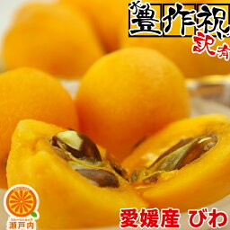 愛媛産 甘〜いびわ 訳あり 約2.8kg (1パック350g)×6~8パック 【送料無料(一部地域除く)】不揃い 愛媛県産 枇杷 フルーツ 旬の果物 くだもの 家庭用 果実 青果 食品ロス おやつ デザート コロナ おうち時間応援 夏の味覚 産地直送