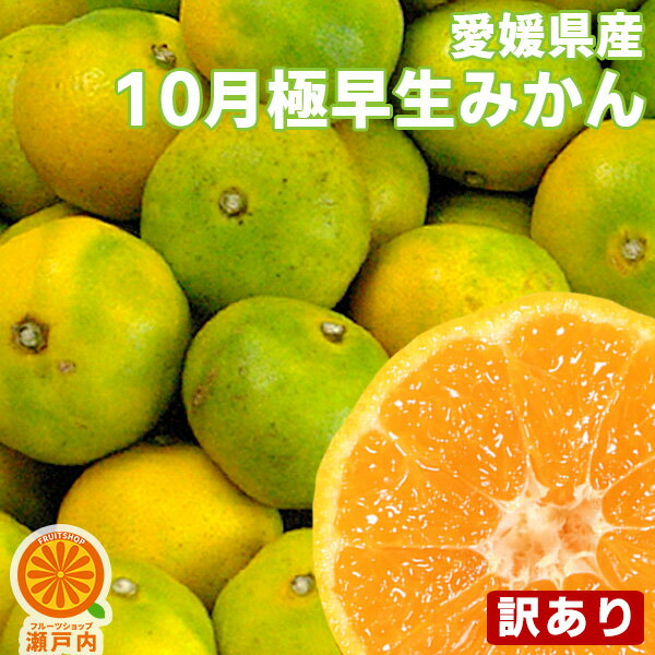 【買い周りに♪】10月限定！愛媛産 極早生みかん 3kg 訳あり【2品で+3kg(9kgセット) 3品で+6kg(15kgセット)】【送料無料(一部地域除く)】不揃い 愛媛県産 フルーツ ご家庭用 果物 くだもの 温州みかん 蜜柑 柑橘類 かんきつ お試し 食品ロス コロナ おうち時間応援 産地直送のサムネイル