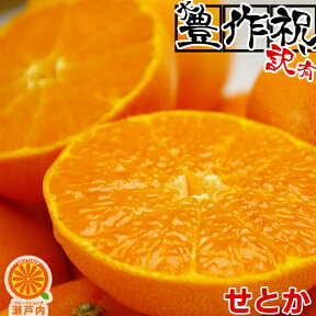 愛媛産 訳ありせとか 2kg【2品で+2kg(6kgセット) 】【送料無料(一部地域除く)】不揃い・傷あり 愛媛県産 家庭用 フルーツ 果物 くだもの お試し 食品 蜜柑 せとかみかん コロナ お家時間応援 柑橘類 かんきつ デザート 産地直送