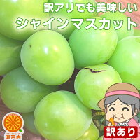 ご家庭用 農家さんもぐもぐ 訳ありシャインマスカット 約800g〜1.0kg (目安1〜4房) フルーツ 葡萄 皮ごと食べれる 種なしぶどう 果物 くだもの 果実 青果 食品ロス ブドウ おやつ デザート 夏の味覚 コロナ おうち時間応援