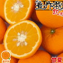 【買い回りに♪】愛媛産 甘夏(あまなつ) 2kg 訳あり【2品で+2kg(6kgセット) 3品で+4kg(10kgセット)】【送料無料(一部地域除く)】不揃い ...