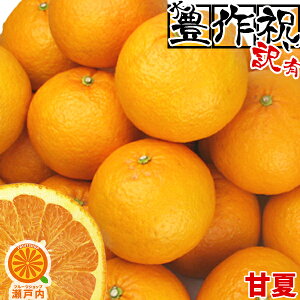 愛媛産 甘夏(あまなつ) 5kg 訳あり・不揃い【送料無料(一部地域除く)】愛媛県産 家庭用 フルーツ 旬の果物 くだもの 果実 青果 食品 みかん 蜜柑 柑橘類 かんきつ コロナ ステイホーム おうち時間応援 おやつ デザート 春の味覚 産地直送