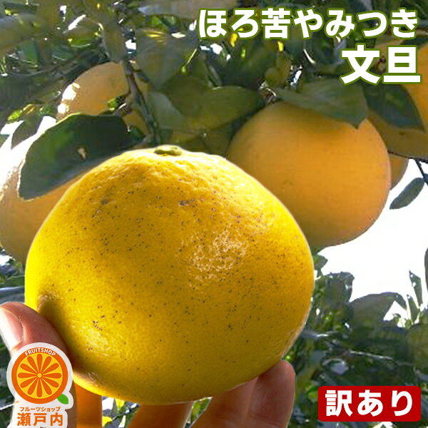 文旦 ぶんたん 10kg 訳あり・不揃い【送料無料 一部地域除く 】愛媛産・高知産いずれか 土佐文旦 家庭用 ザボン フルーツ 果物 くだもの 果実 食品ロス ミカン科 箱買い お取り寄せグルメ コロ…