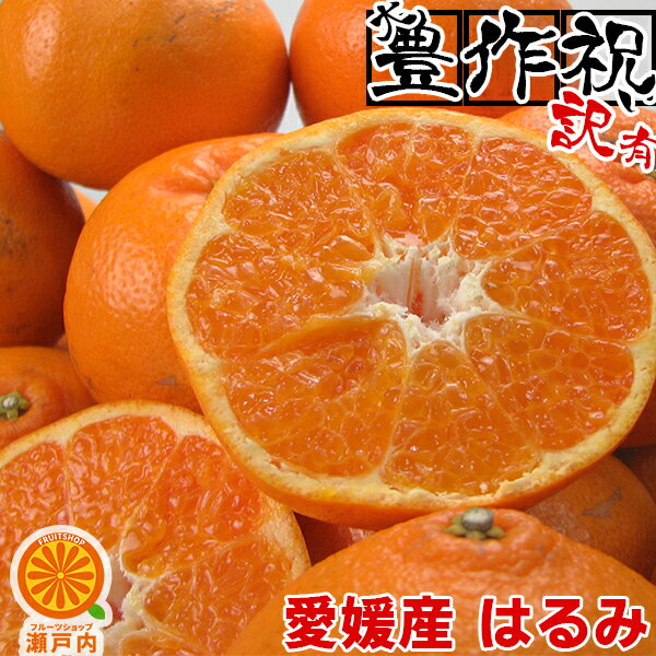 愛媛産 はるみ 5kg 訳あり【送料無料(一部地域除く)】不揃い 愛媛県産 フルーツ 美味しいみかん 果物 くだもの かんきつ 食品ロス みかん 箱買い 蜜柑 柑橘類 お取り寄せグルメ コロナ おうち時間応援 産地直送